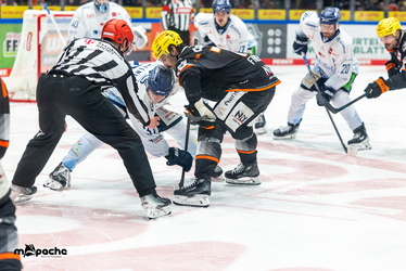 Löwen Frankfurt - Straubing Tigers- 230.11.25 - 082