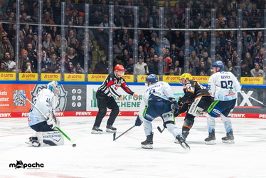 Löwen Frankfurt - Straubing Tigers- 230.11.25 - 083