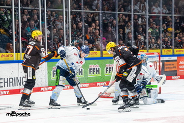 Löwen Frankfurt - Straubing Tigers- 230.11.25 - 084