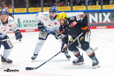 Löwen Frankfurt - Straubing Tigers- 230.11.25 - 085