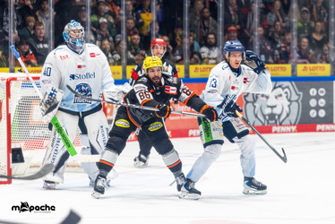 Löwen Frankfurt - Straubing Tigers- 230.11.25 - 086