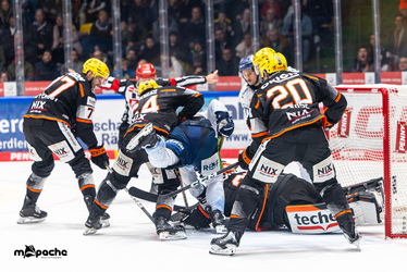 Löwen Frankfurt - Straubing Tigers- 230.11.25 - 088