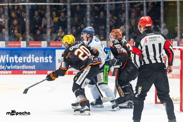 Löwen Frankfurt - Straubing Tigers- 230.11.25 - 089