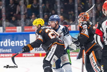 Löwen Frankfurt - Straubing Tigers- 230.11.25 - 090