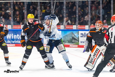Löwen Frankfurt - Straubing Tigers- 230.11.25 - 091