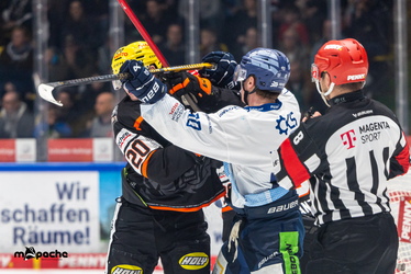 Löwen Frankfurt - Straubing Tigers- 230.11.25 - 092