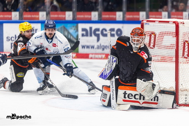 Löwen Frankfurt - Straubing Tigers- 230.11.25 - 093