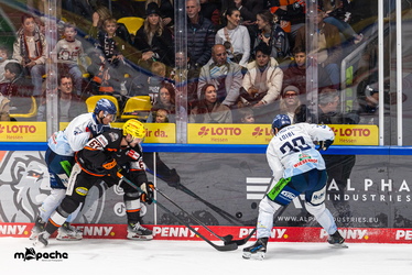 Löwen Frankfurt - Straubing Tigers- 230.11.25 - 095