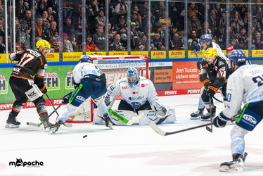 Löwen Frankfurt - Straubing Tigers- 230.11.25 - 097