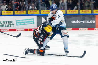 Löwen Frankfurt - Straubing Tigers- 230.11.25 - 098