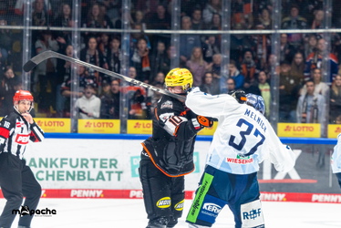 Löwen Frankfurt - Straubing Tigers- 230.11.25 - 099