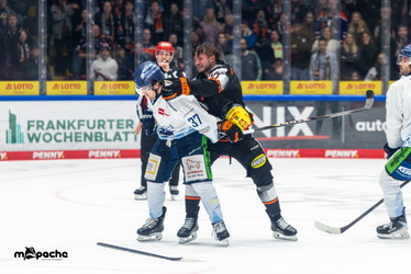 Löwen Frankfurt - Straubing Tigers- 230.11.25 - 100