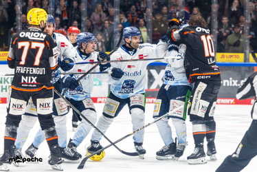 Löwen Frankfurt - Straubing Tigers- 230.11.25 - 101
