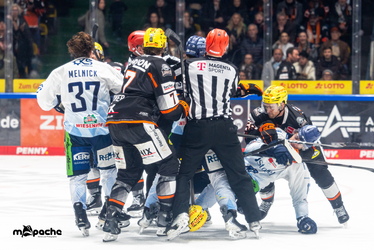 Löwen Frankfurt - Straubing Tigers- 230.11.25 - 102