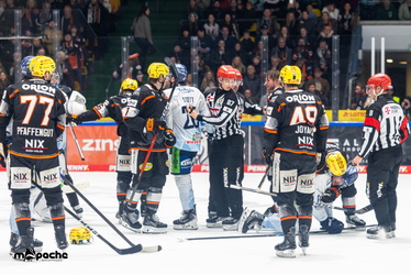 Löwen Frankfurt - Straubing Tigers- 230.11.25 - 103