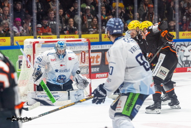 Löwen Frankfurt - Straubing Tigers- 230.11.25 - 104