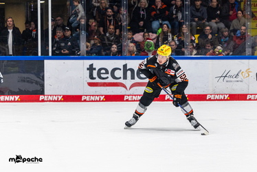 Löwen Frankfurt - Straubing Tigers- 230.11.25 - 105