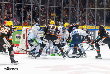 Löwen Frankfurt - Straubing Tigers- 230.11.25 - 106