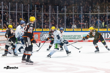 Löwen Frankfurt - Straubing Tigers- 230.11.25 - 107