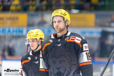 Löwen Frankfurt - Straubing Tigers- 230.11.25 - 112