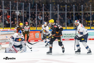 Löwen Frankfurt - Red Bull München- 7.12.25 - 091