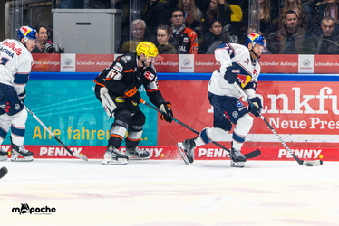 Löwen Frankfurt - Red Bull München- 7.12.25 - 064