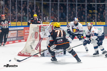 Löwen Frankfurt - Red Bull München- 7.12.25 - 040