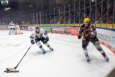 Löwen Frankfurt - Red Bull München- 7.12.25 - 025