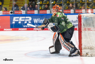 Löwen Frankfurt - Straubing Tigers - 14.12.25 - 004