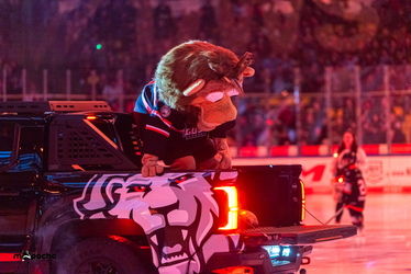 Löwen Frankfurt - Straubing Tigers - 14.12.25 - 012