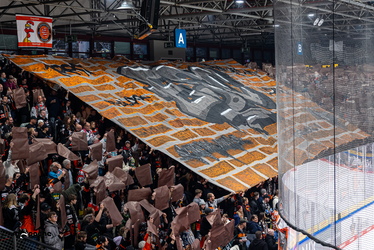 Löwen Frankfurt - Straubing Tigers - 14.12.25 - 024