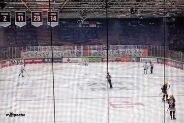 Löwen Frankfurt - Straubing Tigers - 14.12.25 - 025