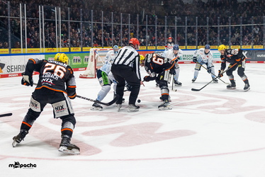 Löwen Frankfurt - Straubing Tigers - 14.12.25 - 039