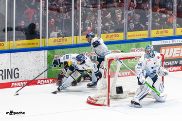 Löwen Frankfurt - Straubing Tigers - 14.12.25 - 050