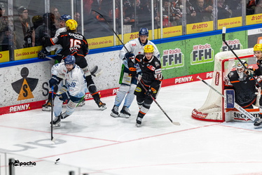 Löwen Frankfurt - Straubing Tigers - 14.12.25 - 063