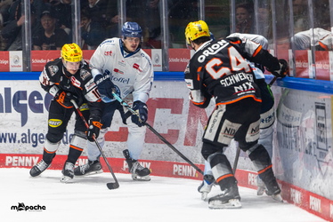 Löwen Frankfurt - Straubing Tigers - 14.12.25 - 075