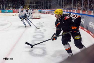 Löwen Frankfurt - Straubing Tigers - 14.12.25 - 076