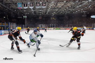 Löwen Frankfurt - Straubing Tigers - 14.12.25 - 079