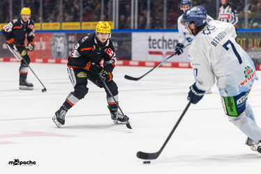 Löwen Frankfurt - Straubing Tigers - 14.12.25 - 080