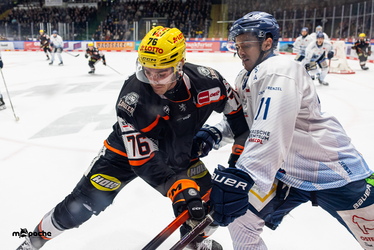 Löwen Frankfurt - Straubing Tigers - 14.12.25 - 085