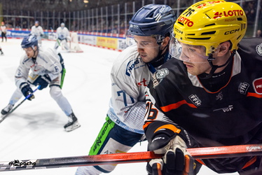 Löwen Frankfurt - Straubing Tigers - 14.12.25 - 086