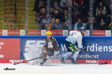 Löwen Frankfurt - Straubing Tigers - 14.12.25 - 089