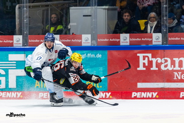Löwen Frankfurt - Straubing Tigers - 14.12.25 - 090