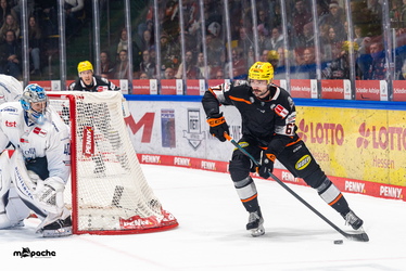 Löwen Frankfurt - Straubing Tigers - 14.12.25 - 095