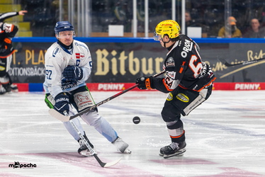 Löwen Frankfurt - Straubing Tigers - 14.12.25 - 100