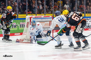 Löwen Frankfurt - Straubing Tigers - 14.12.25 - 101