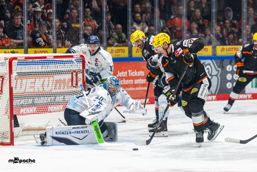 Löwen Frankfurt - Straubing Tigers - 14.12.25 - 103