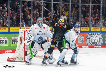 Löwen Frankfurt - Straubing Tigers - 14.12.25 - 109