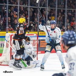 Löwen Frankfurt - Straubing Tigers - 14.12.25 - 110