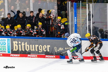 Löwen Frankfurt - Straubing Tigers - 14.12.25 - 115